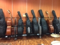 8 double basses, some in and some out of their cases, resting on wheeled carts