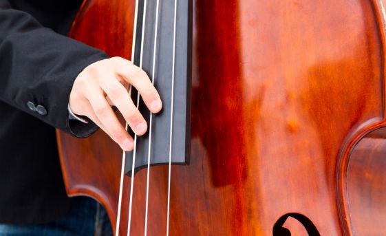 Double Bass Care Tips