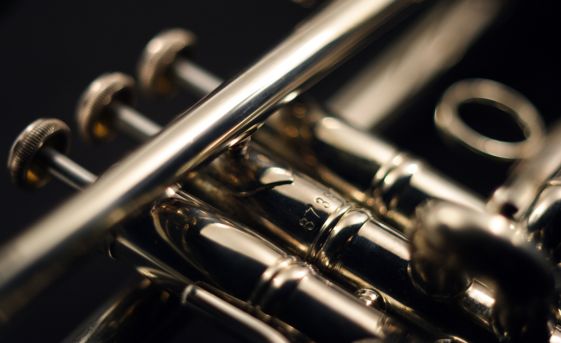 Trumpet Storage Tips