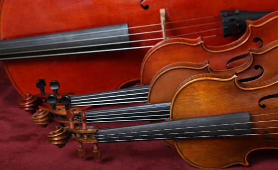 Violin Storage Tips